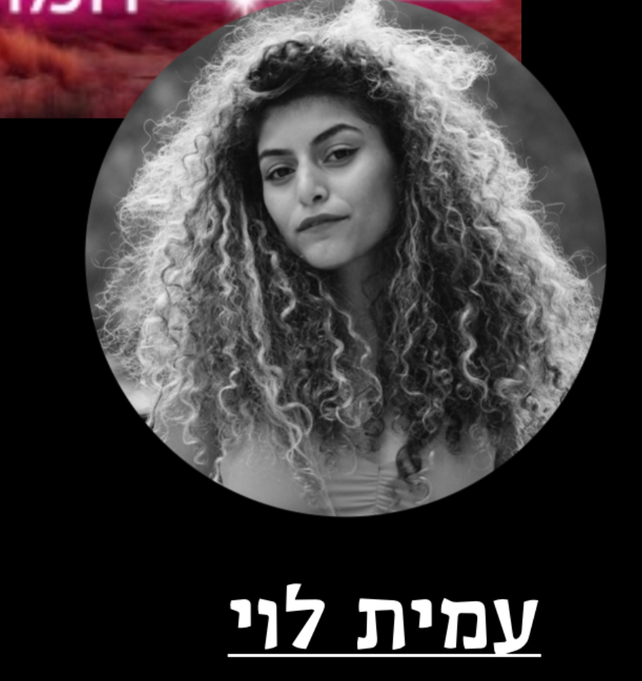עמית לוי